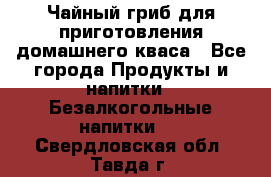 Чайный гриб для приготовления домашнего кваса - Все города Продукты и напитки » Безалкогольные напитки   . Свердловская обл.,Тавда г.